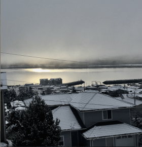 Screen Shot 2018-01-09 at 1.14.39 PM