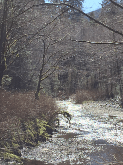 Screen Shot 2018-04-16 at 8.20.41 AM