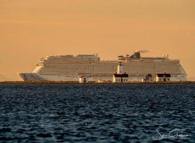 34140879_1847975205225850_8323896530910052352_n