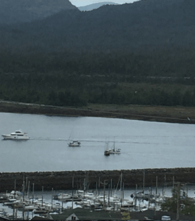 Screen Shot 2018-06-15 at 8.52.53 AM