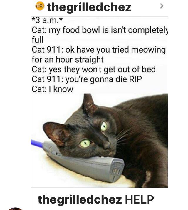 15219640_10206606013103846_1269016234424236362_n